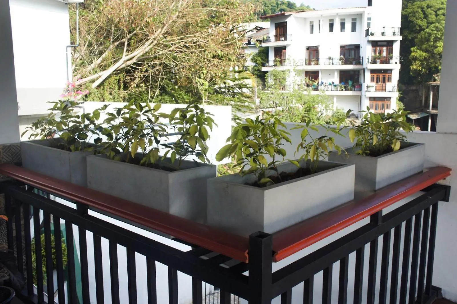 Vendégház Ark Cabin Villa Kandy